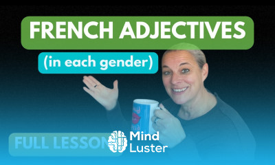 How to properly write French adjectives in different genders in French Full Free lesson
