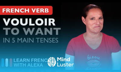 Vouloir to want in 5 Main French Tenses