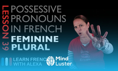French Feminine Plural Possessive Pronouns