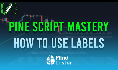 How To Use LABELS • Pine Script OUTDATED V4 Tutorial