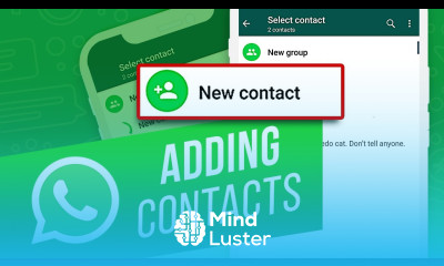 How to Add Contacts to WhatsApp from iPhone How to Add People to Groups on WhatsApp