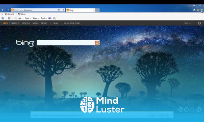 How to Disable Javascript in Internet Explorer