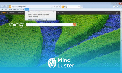 How to Check Version of Internet Explorer