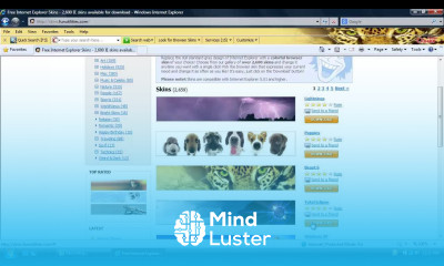 How to Change Internet Explorer Skins