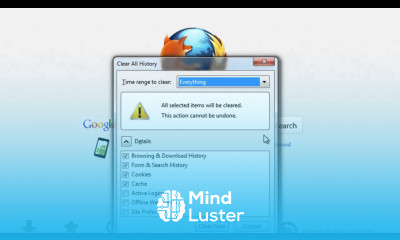 How to delete History on Firefox