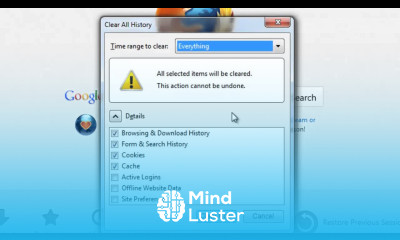 How to delete browsing History in Firefox