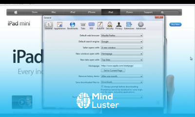 How to delete Cookies on Safari