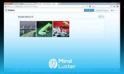 How to Download a Dropbox Gallery