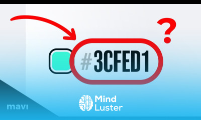 The HEX Code Explained