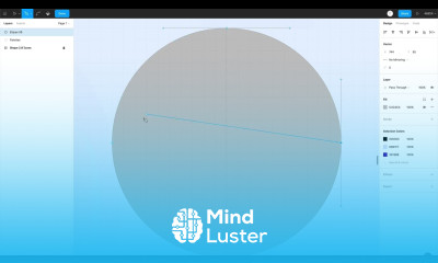 FIGMA HANDBOOK 24 Vector Network