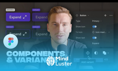 Figma components and variants for beginners