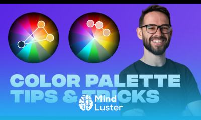 Color Palette Tutorial for Any Level