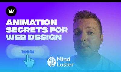 12 Principles to make your Webflow Animations look Pro
