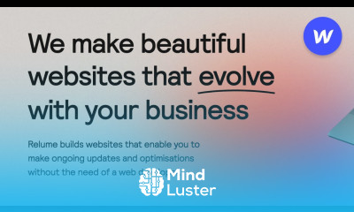 Top 5 Websites Built In WEBFLOW 2021