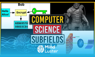 Computer Science Careers and Subfields