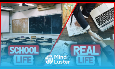 School Life Vs Real World What You Should Know