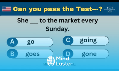 Can you pass the Test Mixed English Grammer Quiz English grammer