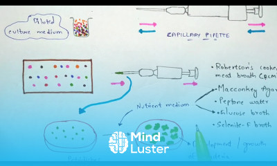 Capillary pipette method Single cell isolation method Bio science