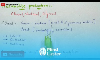 Exploitation of microorganisms and their products Bacteria and Fungi Fermentation Bio science