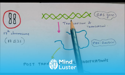 Gastrointestinal hormones Gut Hormones Mode of action Gastrin hormone Bio science