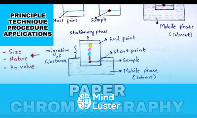 Paper chromatography Principle Procedure Development techniques Applications