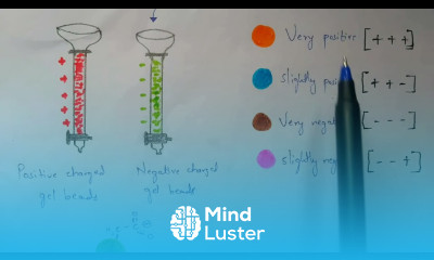 Ion exchange chromatography separation of proteins Bio science