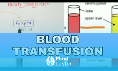 Blood transfusion Types mechanism precautions and notes Bio science
