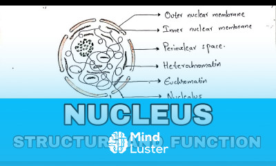 Nucleus structure and function Structure and function NEET Bio science