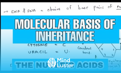 The nucleic acids DNA RNA Molecular basis of inheritance