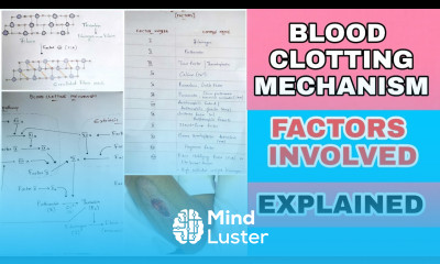 Blood clotting process and mechanism and blood clotting factors By phanindra Gupta