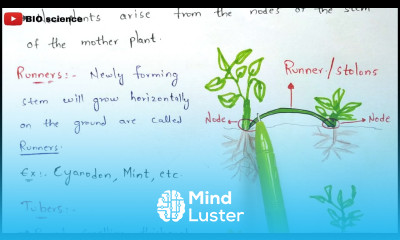 Vegetative propagation in higher plants Natural and artificial vegetative propagation Bio science
