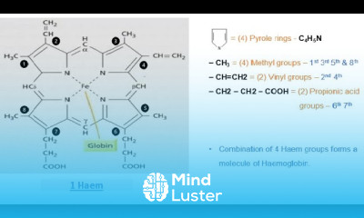 Hemoglobin structure Oxygen transport and storage system Bio science