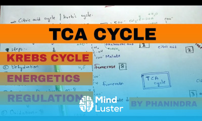 TCA cycle WITH STRUCTURES l Krebs cycle Citric acid cycle CAC Energetics Regulation