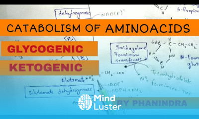 Catabolism of Aminoacids Degradation Glycogenic and Ketogenic Aminoacids