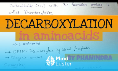 Decarboxylation of Aminoacids Aminoacids metabolism