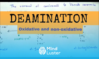 Deamination Oxidative and non oxidative deamination