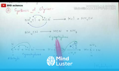 Strecker synthesis Synthesis of Glycine Alanine valine and Leucine Synthesis of aminoacids
