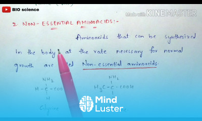 Classification of aminoacids Based on their nature and functions Organic biochemistry