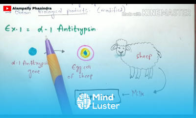Animal Transgenesis Transgenic animals Process Examples Bio science