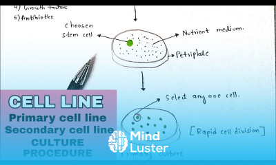 Cell line Culture procedure Finite and continuous cell line Primary and secondary cell lines