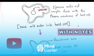 Lipofection Liposome encapsulation Transfection Gene transfer technique rDNA technology