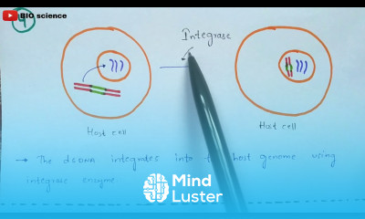 Retrovirus mediated Gene transfer RMGT procedure Bio science