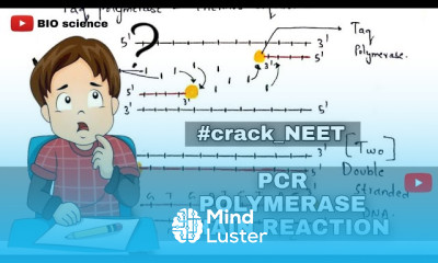 Polymerase chain reaction PCR Denaturation Annealing Extension Bio science