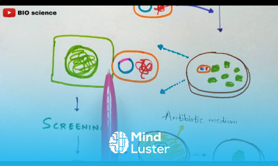 Edible vaccines Production in laboratory Benefits Oral vaccines Bio science