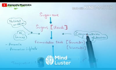 Production of Glutamic acid and Aspartic acid by fermentation Bio science