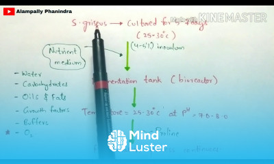Production of streptomycin by fermentation Procedure involved Bio science