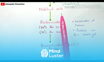 Production of yogurt by fermentation Preperation of yogurt Bio science