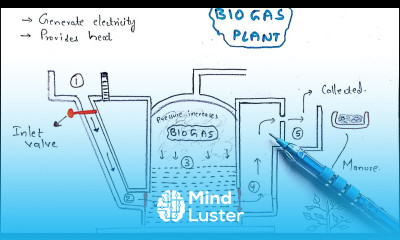 Methane production Biogas plant Working Mechanism Methanogens Biogas production