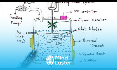 Submerged fermentation process Fed batch and continuous fermentation Bio science