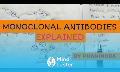 Monoclonal antibodies Hybridoma technology